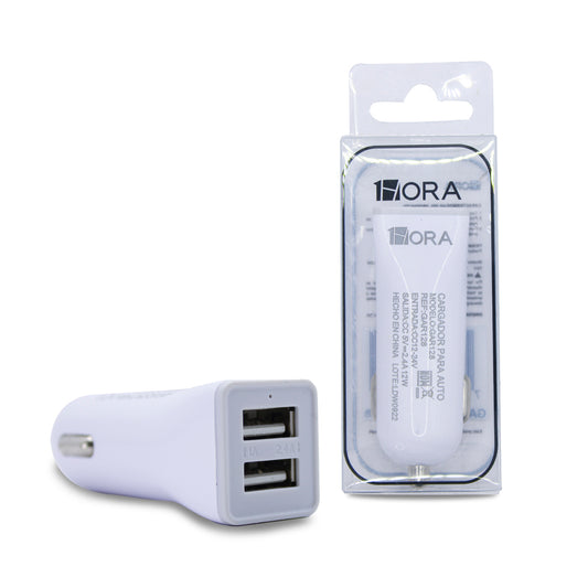 Cargador de auto 1hora GAR128